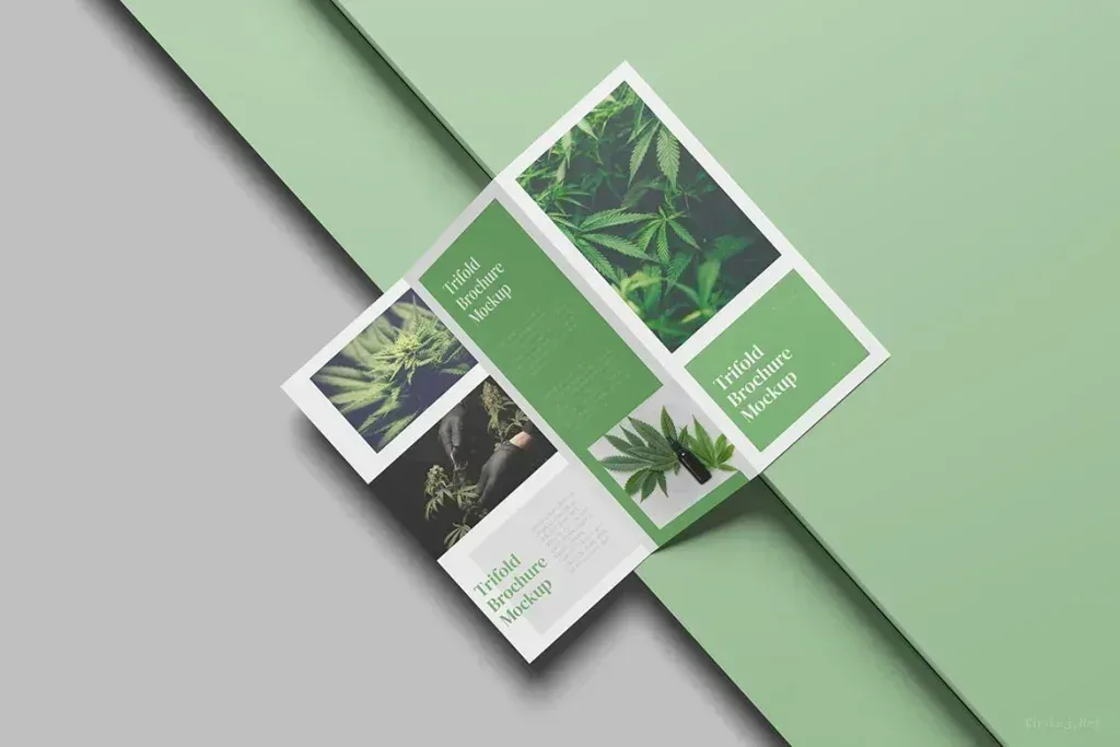 PSD Mockup Health Trifold Brochure, Health trifold brochure mockup with green plant images on a green and gray background