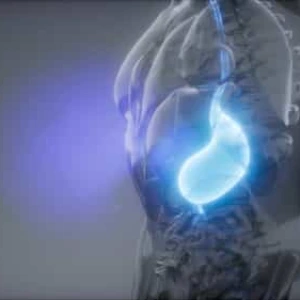 Human Stomach Digestive System 3D Stock Footage Human Stomach Digestive System 3D Stock Footage