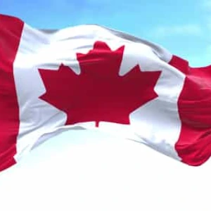 Canadian Flag Waving Realistic Seamless Stock Footage Canadian Flag Waving Realistic Seamless Stock Footage