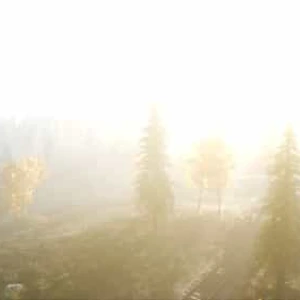 Aerial Autumn Forest Sunset View Stock Footage Aerial Autumn Forest Sunset View Stock Footage
