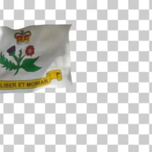 White Flag Waving Crown Rose with Thistle Stock Footage White Flag Waving Crown Rose with Thistle Stock Footage