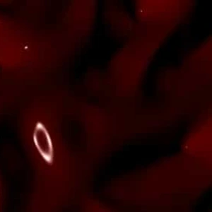 Dark Red Glossy Fluid Abstract Liquid Stock Footage Dark Red Glossy Fluid Abstract Liquid Stock Footage