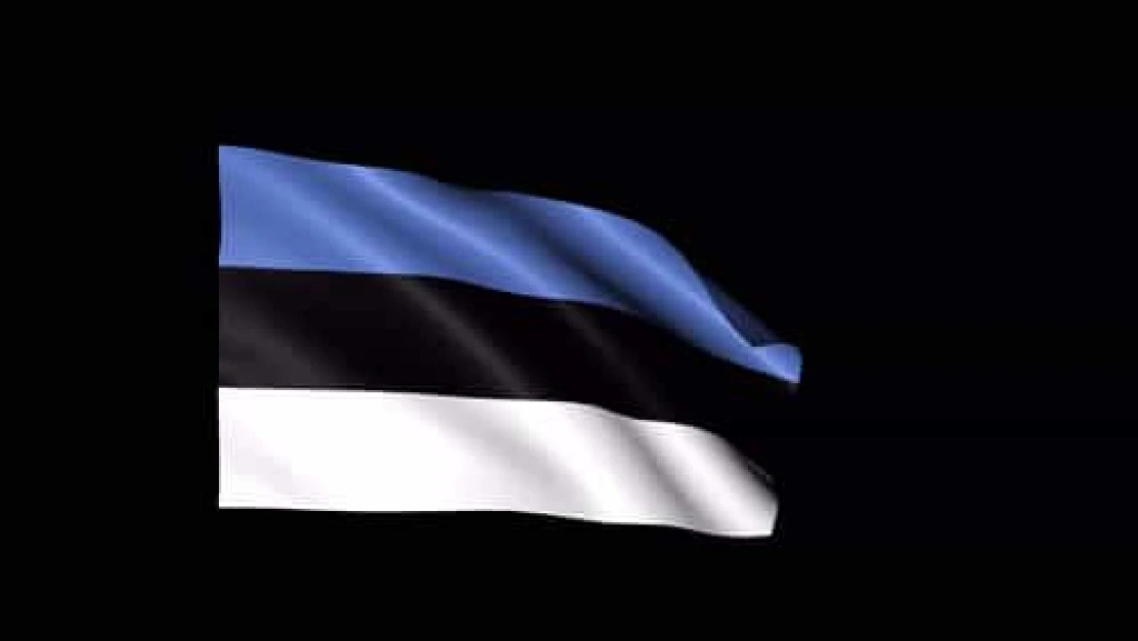 فوتیج موج‌زدن پرچم استونی