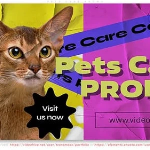 After Effects Project Pet Care Promo, Close-up of a cat with colorful background and pet care promotion text