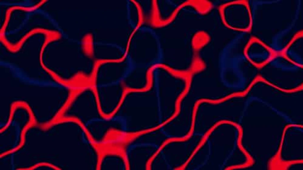 Video Footage Abstract Fluid Red Blue Waves Organic