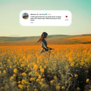 قالب صناديق تعليقات وسائل التواصل الاجتماعي لأفتر إفكت قالب صناديق تعليقات وسائل التواصل الاجتماعي لأفتر إفكت