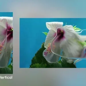 After Effects Project Digital Tech Scanning Logo Reveal پروژه افتر افکت نمایش لوگوی اسکن دیجیتال با المانهای