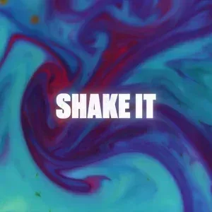 After Effects Project Dynamic Shake Transitions مشروع أفتر إفكت انتقالات اهتزاز ديناميكية