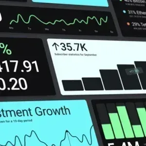 Infographic Data Infographics After Effects Template Infographic Data Infographics After Effects Template