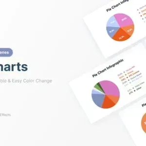 Pie Chart Infographics Video After Effects Template Pie Chart Infographics Video After Effects Template