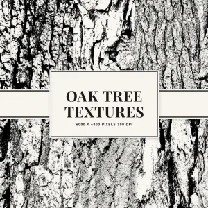 Oak Tree Textures Graphic Pack Oak Tree Textures Graphic Pack