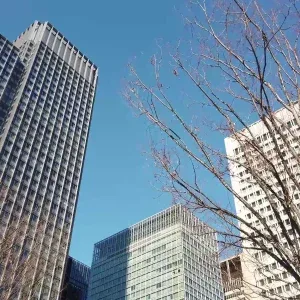 Towering Skyscrapers Against Clear Blue Sky Stock Footage Towering Skyscrapers Against Clear Blue Sky Stock Footage
