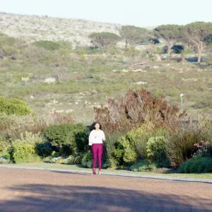 Young Woman Jogging on Scenic Greenery Stock Footage Young Woman Jogging on Scenic Greenery Stock Footage