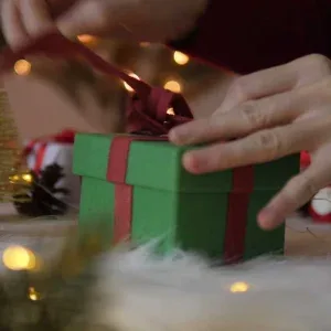 Hands Tying Red Ribbon on Christmas Stock Footage Hands Tying Red Ribbon on Christmas Stock Footage