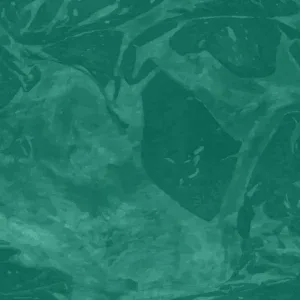 موشن جرافيك حركة سائلة عضوية مجردة موشن جرافيك حركة سائلة عضوية مجردة