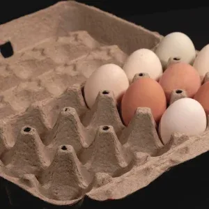Stop Motion Natural Eggs Carton Stock Footage Stop Motion Natural Eggs Carton Stock Footage