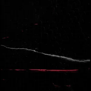 Vertical Red Glitch Overlays with Kinetic Motion Graphics Vertical Red Glitch Overlays with Kinetic Motion Graphics