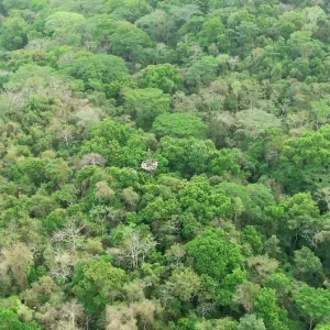 Aerial Rainforest Circular Platform Stock Footage Aerial Rainforest Circular Platform Stock Footage
