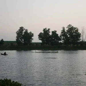 Fisherman Casting in Calm Rural Lake Stock Footage Fisherman Casting in Calm Rural Lake Stock Footage