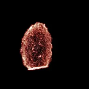 Fiery Particle Portal Reveal Motion Graphics Fiery Particle Portal Reveal Motion Graphics