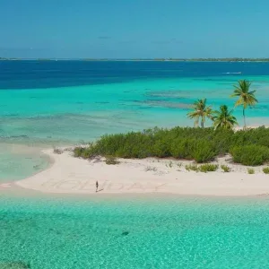 Tropical Island Woman Beach Holiday Stock Footage Tropical Island Woman Beach Holiday Stock Footage